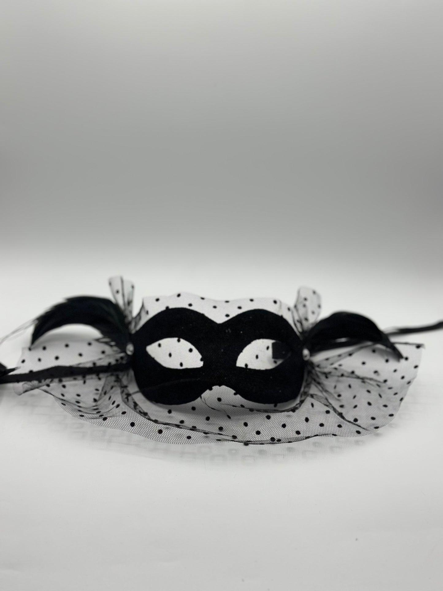 Zwart Bal masker met voile