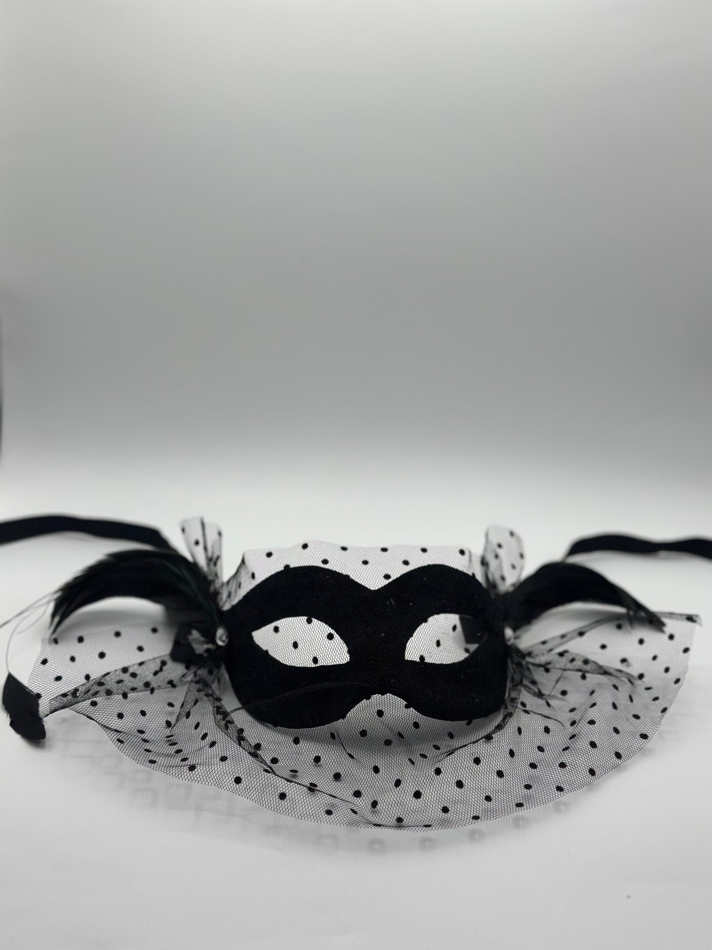 Zwart Bal masker met voile